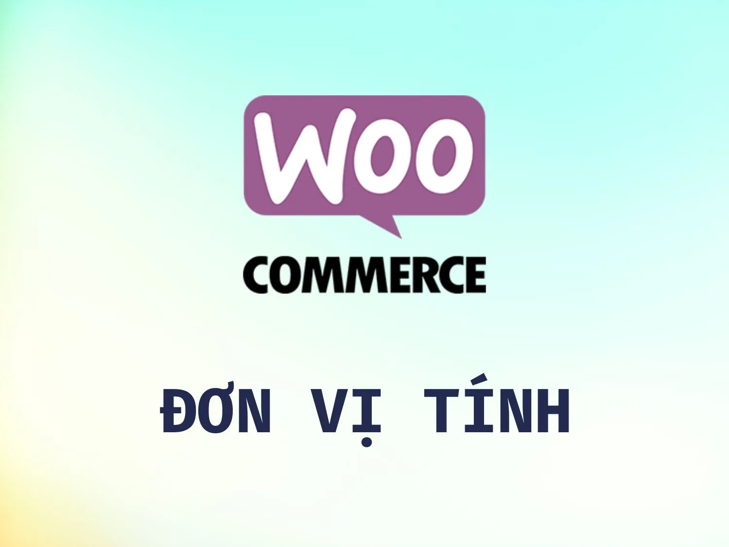 Thêm Đơn vị tính Woocommerce by RealDev